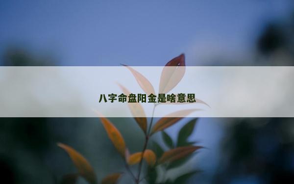 八字命盤陽金是啥意思
