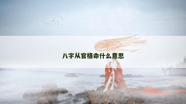 八字從官格命什么意思