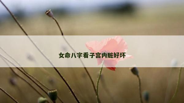 女命八字看子宮內(nèi)臟好壞