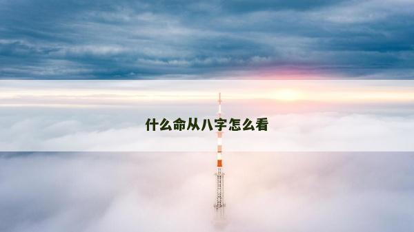 什么命從八字怎么看