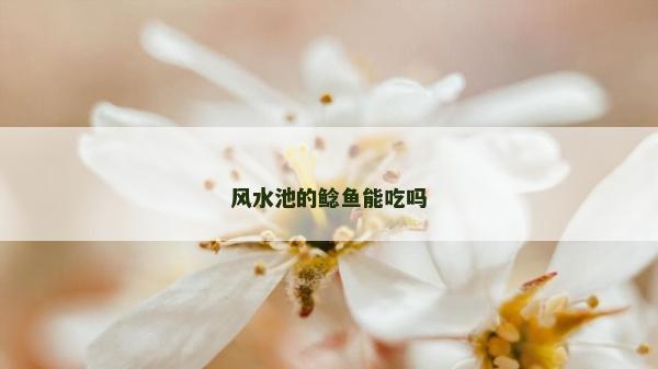 風水池的鯰魚能吃嗎