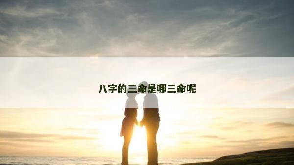 八字的三命是哪三命呢