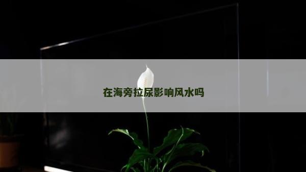在海旁拉尿影響風水嗎