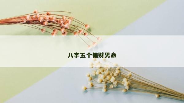 八字五個偏財男命