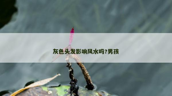 灰色頭發(fā)影響風(fēng)水嗎?男孩