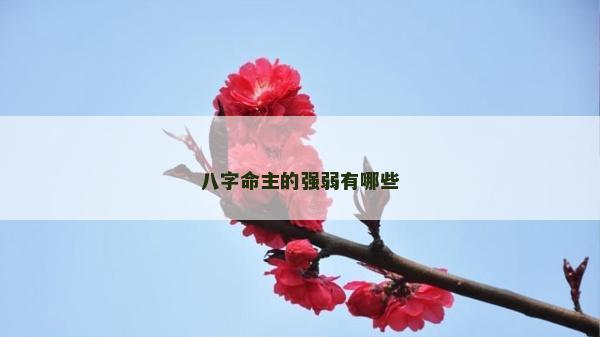 八字命主的強弱有哪些 八字命主的強弱有哪些
