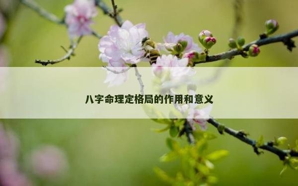 八字命理定格局的作用和意義