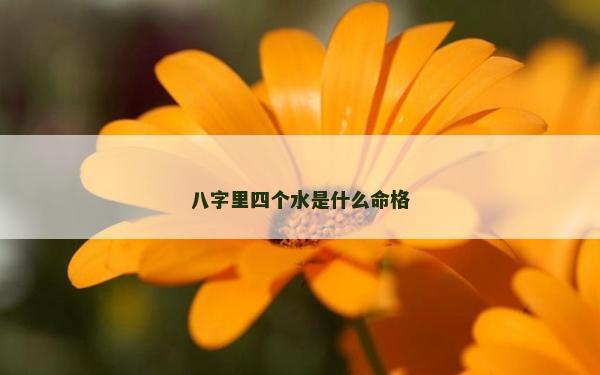 八字里四個水是什么命格
