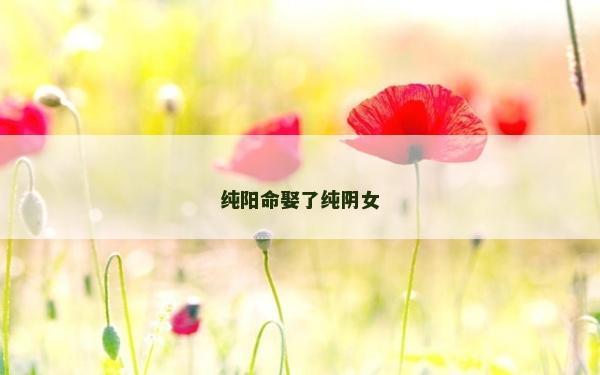 純陽命娶了純陰女