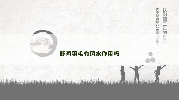 野雞羽毛有風水作用嗎