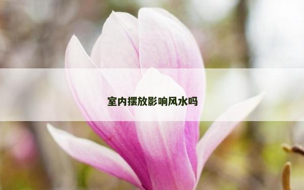 室內擺放影響風水嗎