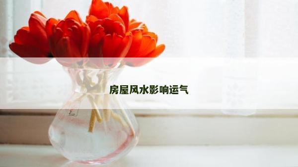 房屋風水影響運氣 房屋風水影響運氣