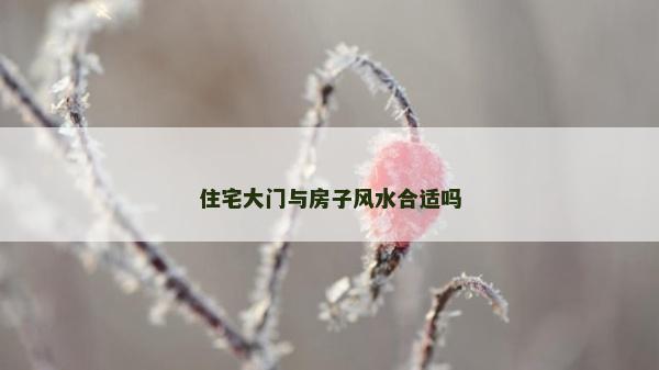 住宅大門與房子風(fēng)水合適嗎