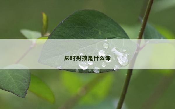 辰時男孩是什么命