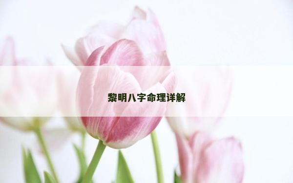黎明八字命理詳解