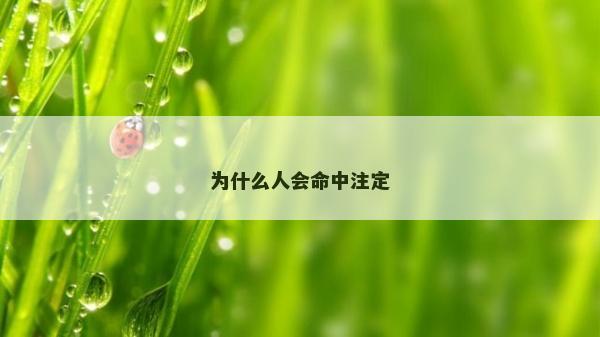 為什么人會命中注定