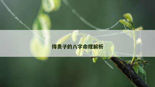 得貴子的八字命理解析