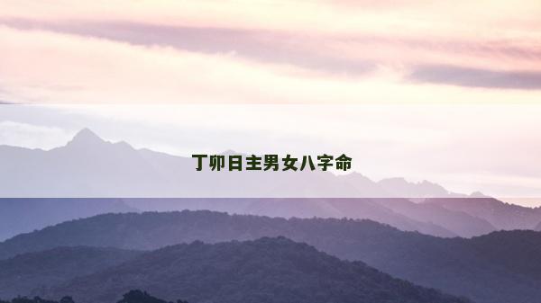 丁卯日主男女八字命
