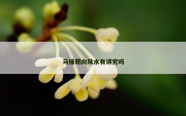 馬桶朝向風水有講究嗎