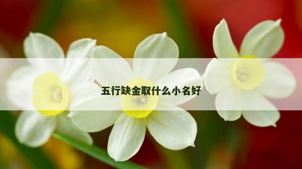 五行缺金取什么小名好