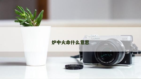 爐中火命什么意思 爐中火命什么意思