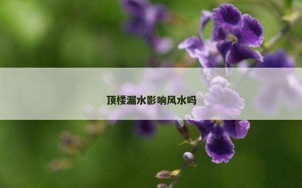 頂樓漏水影響風水嗎