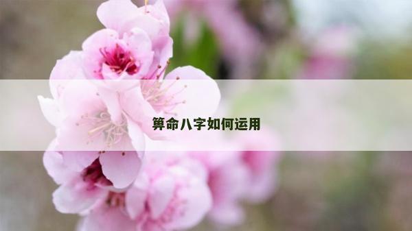 箅命八字如何運用