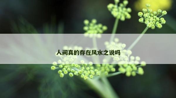 人間真的存在風水之說嗎