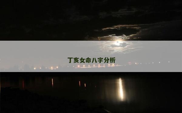 丁亥女命八字分析