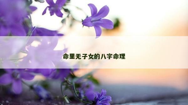 命里無子女的八字命理