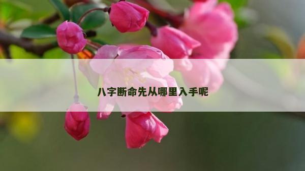 八字斷命先從哪里入手呢