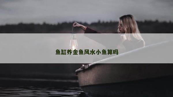 魚缸養金魚風水小魚算嗎