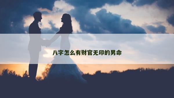 八字怎么有財官無印的男命