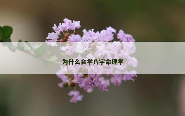 為什么會學八字命理學