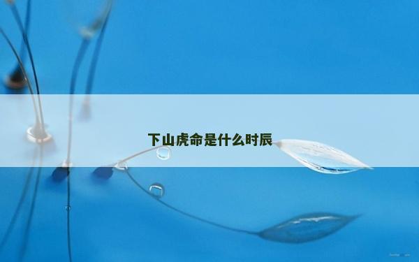 下山虎命是什么時辰