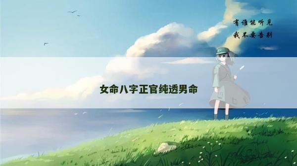 女命八字正官純透男命
