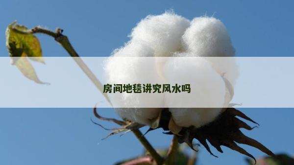房間地毯講究風水嗎