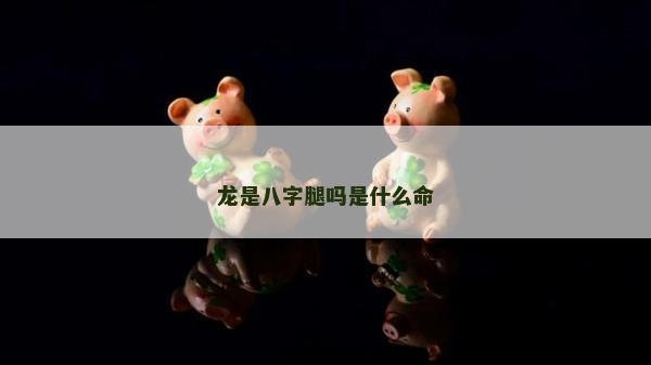 龍是八字腿嗎是什么命