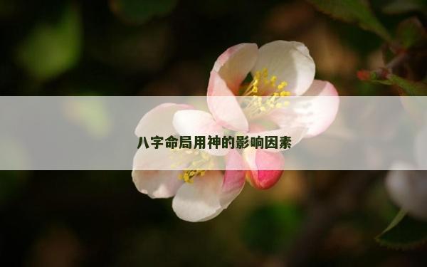 八字命局用神的影響因素