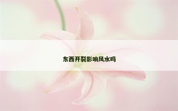 東西開裂影響風水嗎