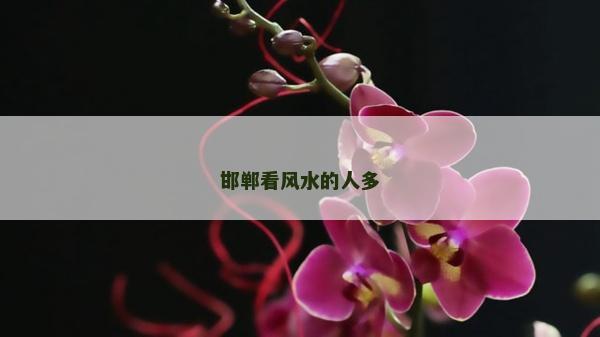 邯鄲看風水的人多