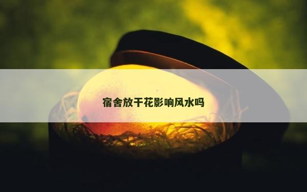宿舍放干花影響風水嗎 宿舍放干花影響風水嗎