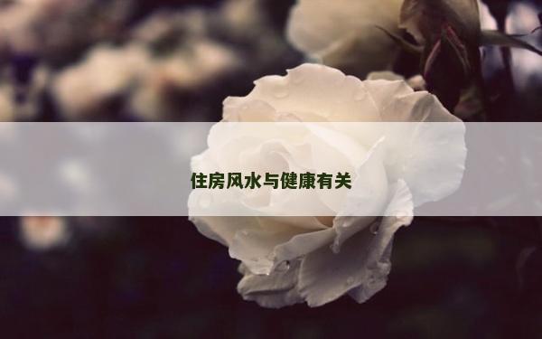 住房風水與健康有關 住房風水與健康有關
