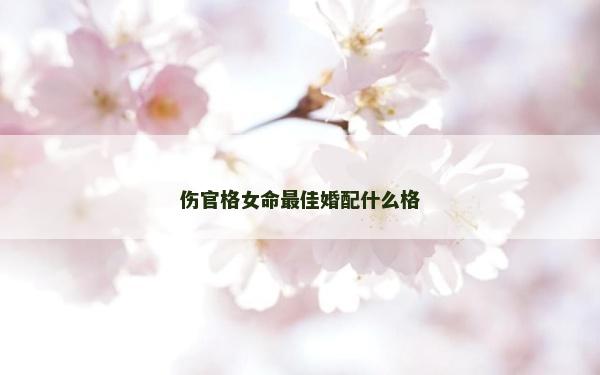 傷官格女命最佳婚配什么格