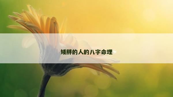 矮胖的人的八字命理