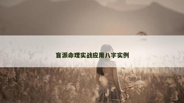 盲派命理實戰應用八字實例