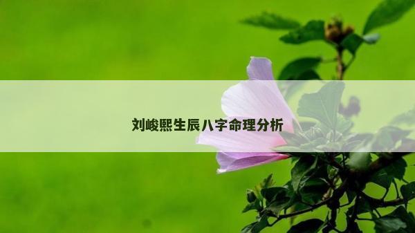 劉峻熙生辰八字命理分析