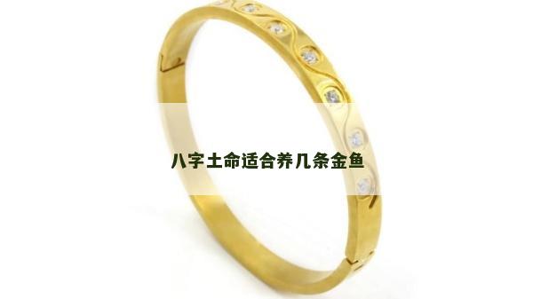 八字土命適合養幾條金魚
