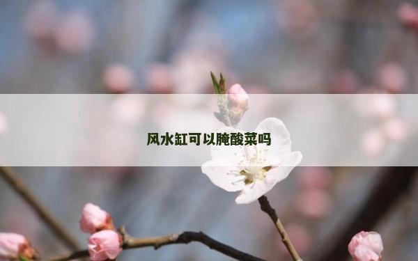 風水缸可以腌酸菜嗎