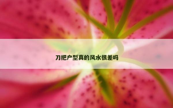 刀把戶型真的風水很差嗎